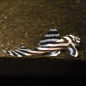Preview: Zebra-Harnischwels L046, Hypancistrus zebra